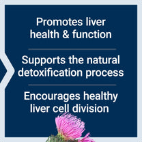 Life Extension Advanced Milk Thistle, 60 Softgels