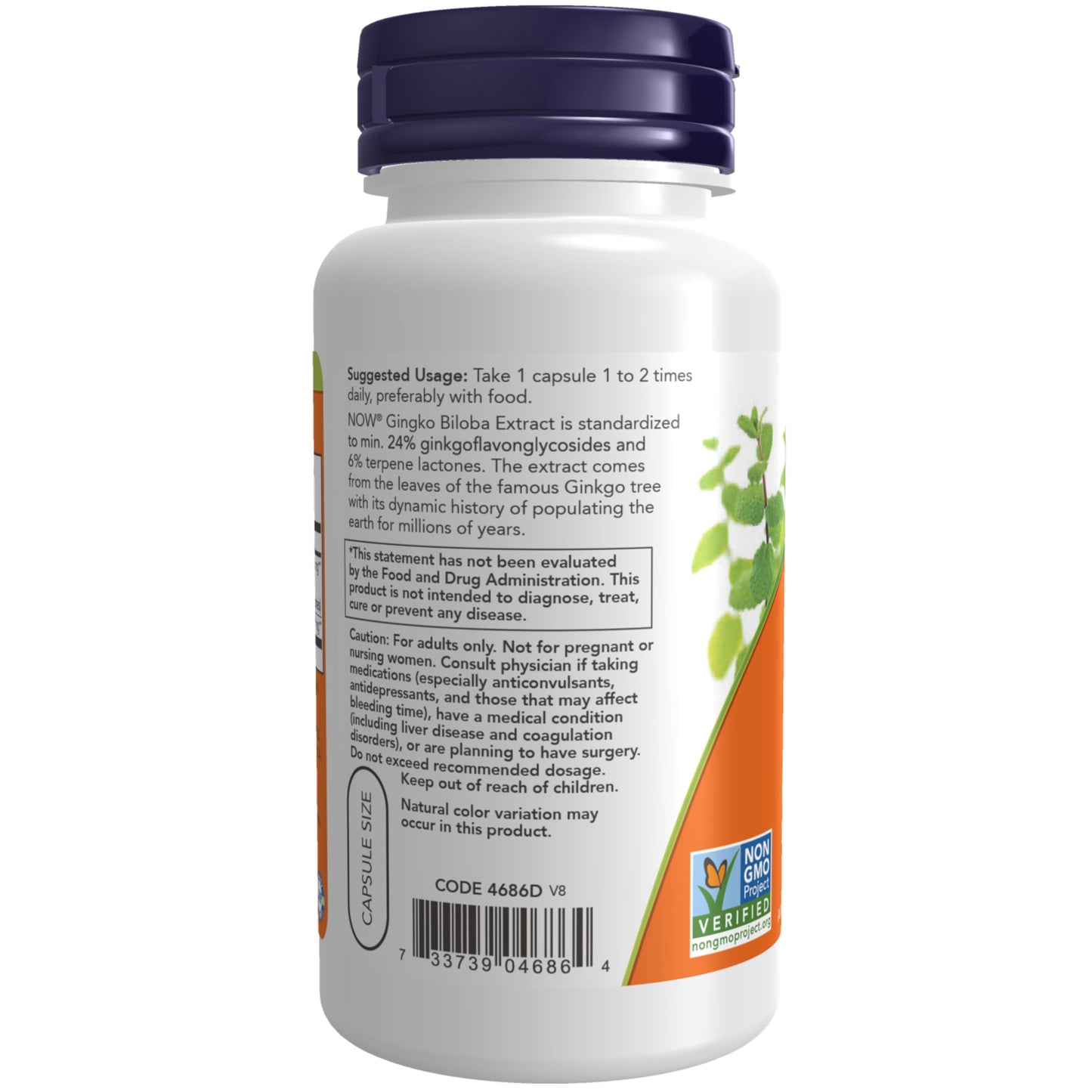 NOW Foods Supplements, Ginkgo Biloba 60 mg, 24% Standardized Extract, Non-GMO Project Verified, 60 Veg Capsules