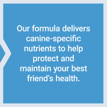 Life Extension Dog Mix, Dog Vitamins and Supplements, probiotics, L-carnitine, B12, folic Acid, Vitamin C, Vitamin E, Rosemary, Nutrient Absorption, Gluten-Free, Non-GMO, 60 Servings
