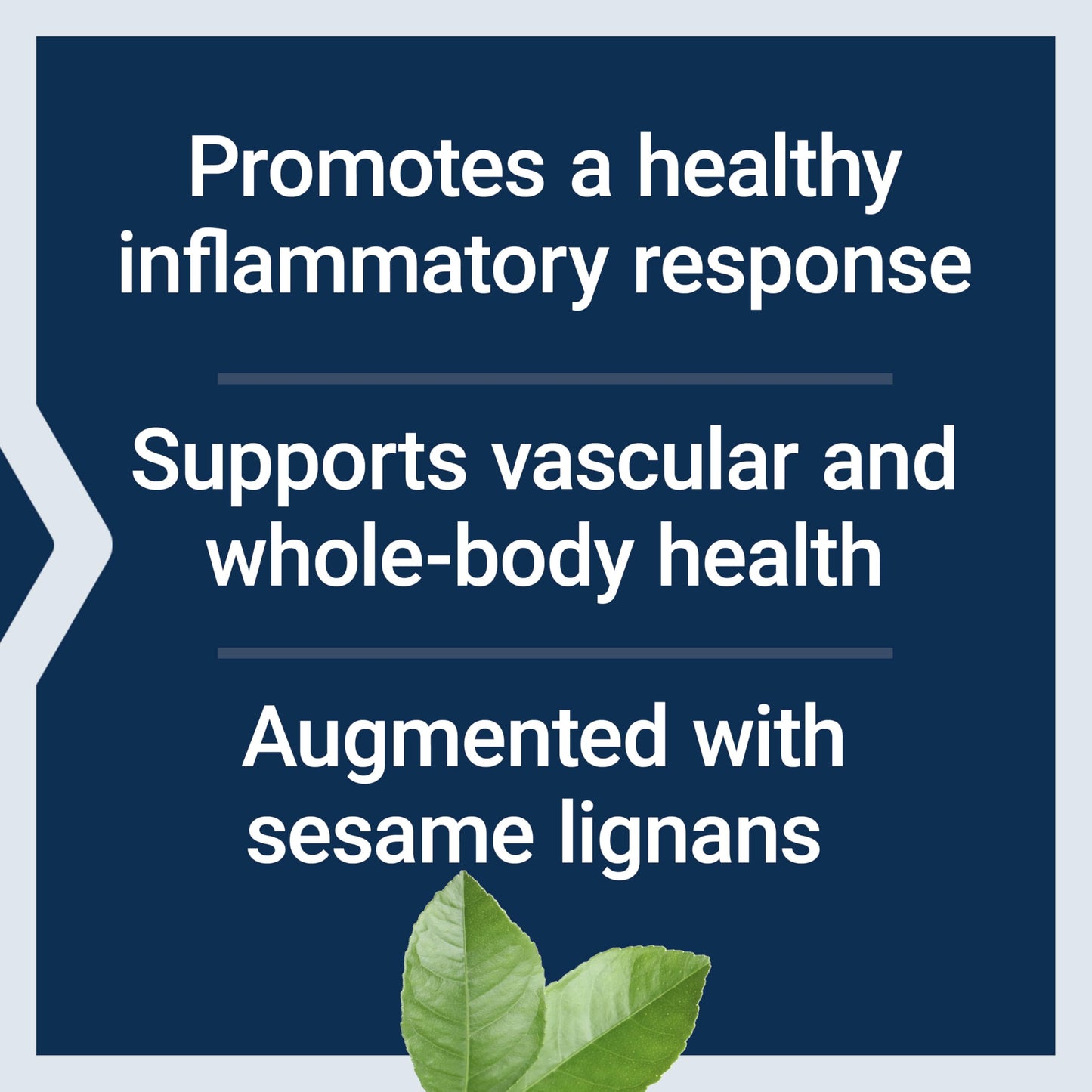 Life Extension Mega GLA Sesame Lignans, 30 Softgels
