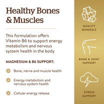 Solgar Magnesium with Vitamin B6, 250 Tablets - Energy Metabolism