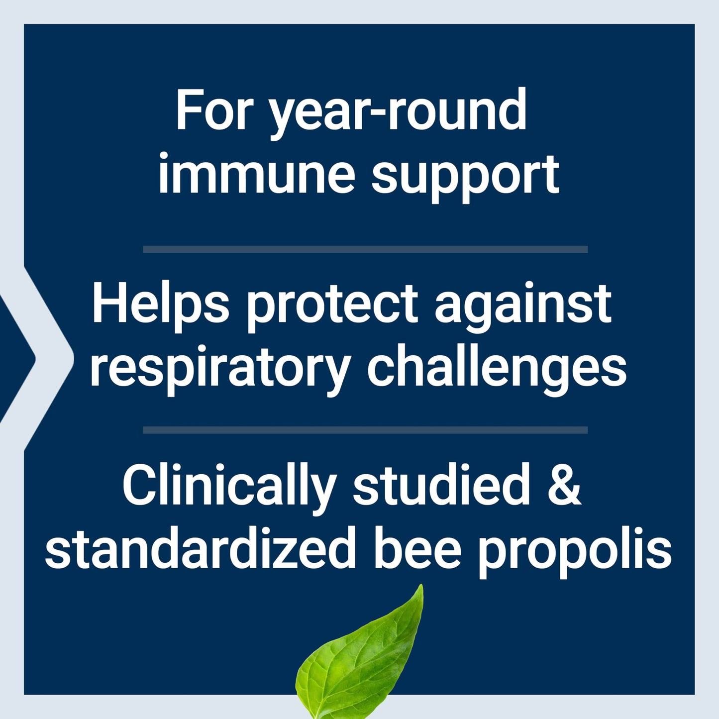 Life Extension Bee Immune Propolis Capsules, Immune Support, 60 Capsules