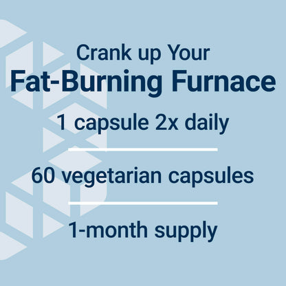Life Extension 7-Keto DHEA Metabolite – Crank Up Your Fat-Burning Furnace – Non-GMO – Gluten-Free – 100 Mg – 60 Vegetarian Capsules