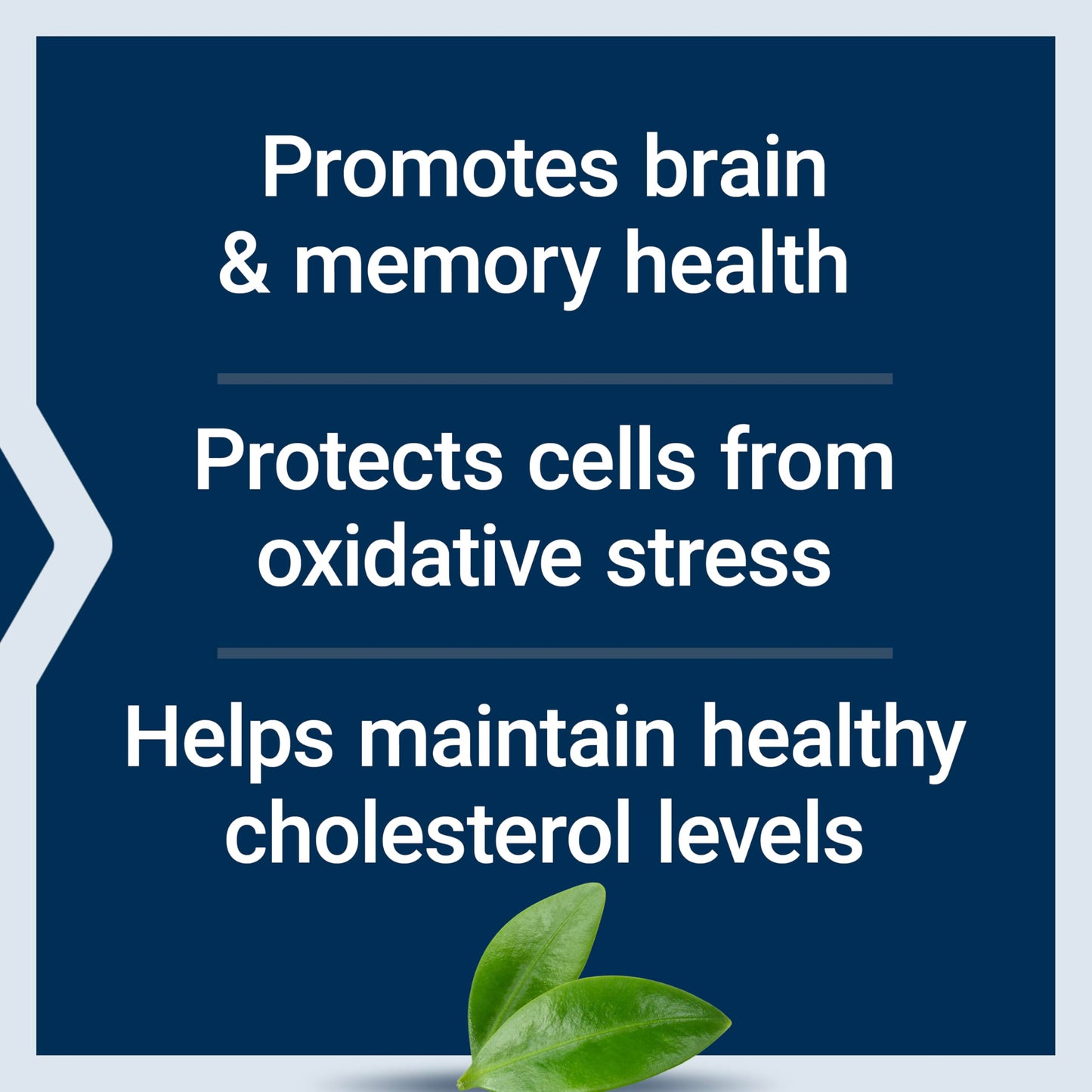 Life Extension Blueberry Extract Capsules, supports cognitive & memory health, helps maintain already-healthy cholesterol levels, fights oxidative stress, gluten-free, non-GMO, vegetarian, 60 capsules