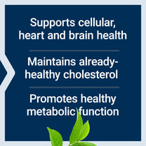 Life Extension Decaffeinated Mega Green Tea Extract – Polyphenol-Rich, Cell Health, Heart Health, Brain Health, Antioxidant Protection – Non-GMO, Gluten-Free, Vegetarian – 100 Capsules