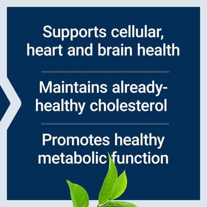 Life Extension Decaffeinated Mega Green Tea Extract – Polyphenol-Rich, Cell Health, Heart Health, Brain Health, Antioxidant Protection – Non-GMO, Gluten-Free, Vegetarian – 100 Capsules