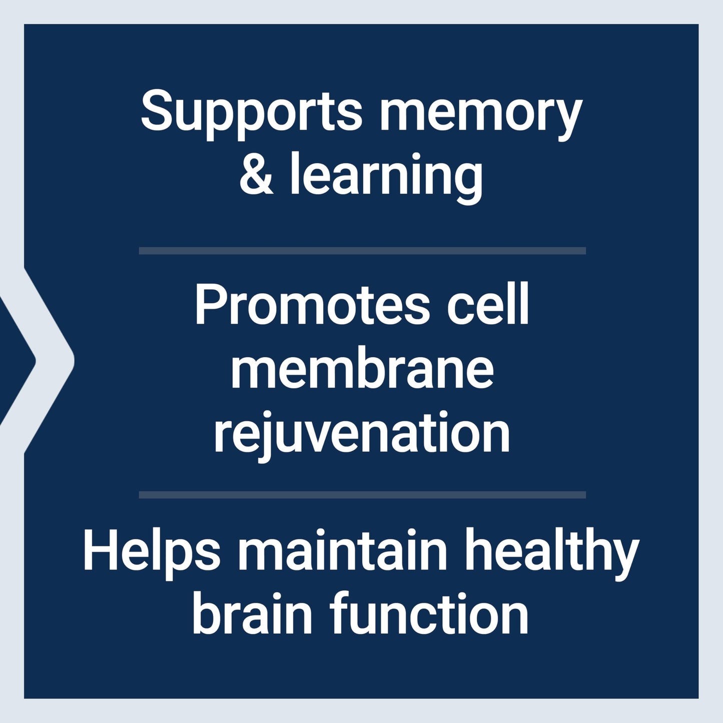 Life Extension DMAE Bitartrate, Supports neurotransmitter Production, 6-Month Supply, Gluten-Free, Non-GMO, Vegetarian, 200 Capsules