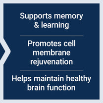 Life Extension DMAE Bitartrate, Supports neurotransmitter Production, 6-Month Supply, Gluten-Free, Non-GMO, Vegetarian, 200 Capsules