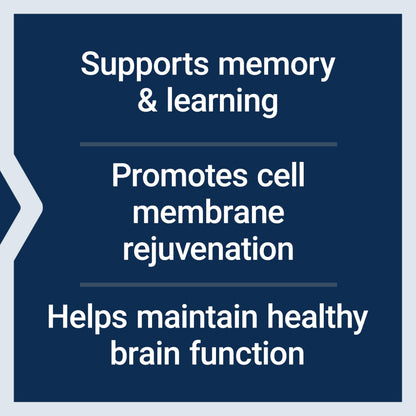 Life Extension DMAE Bitartrate, Supports neurotransmitter Production, 6-Month Supply, Gluten-Free, Non-GMO, Vegetarian, 200 Capsules