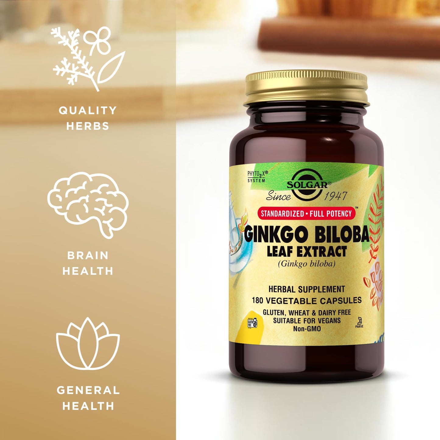 Solgar Ginkgo Biloba Leaf Extract - 180 Vegetable Capsules - Standardized Full Potency (SFP) - Non-GMO, Vegan, Gluten Free, Dairy Free, Kosher - 180 Servings