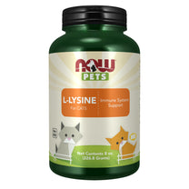 NOW Pet Health, L-Lysine Supplement, Powder, Formulated for Cats, NASC Certified, 8-Ounce