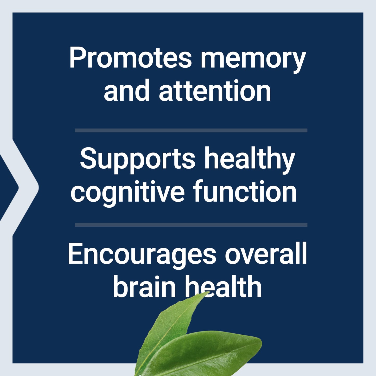 Life Extension Citicoline (CDP-Choline), 60 Capsules