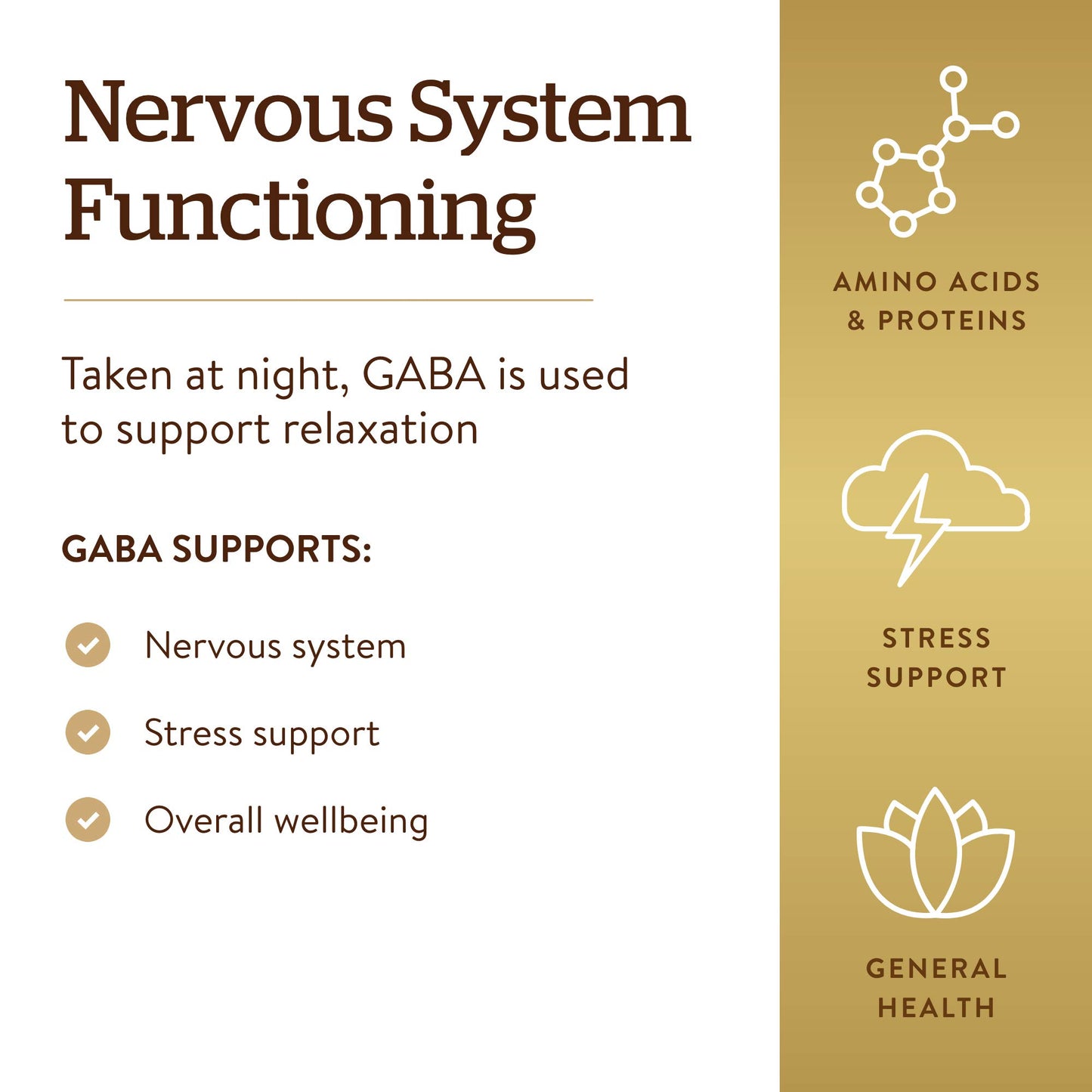 Solgar GABA 500 mg, 100 Vegetable Capsules, Nervous System Support