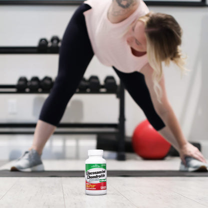 21st Century Glucosamine Chondroitin Advanced with MSM, Joints, 120ct