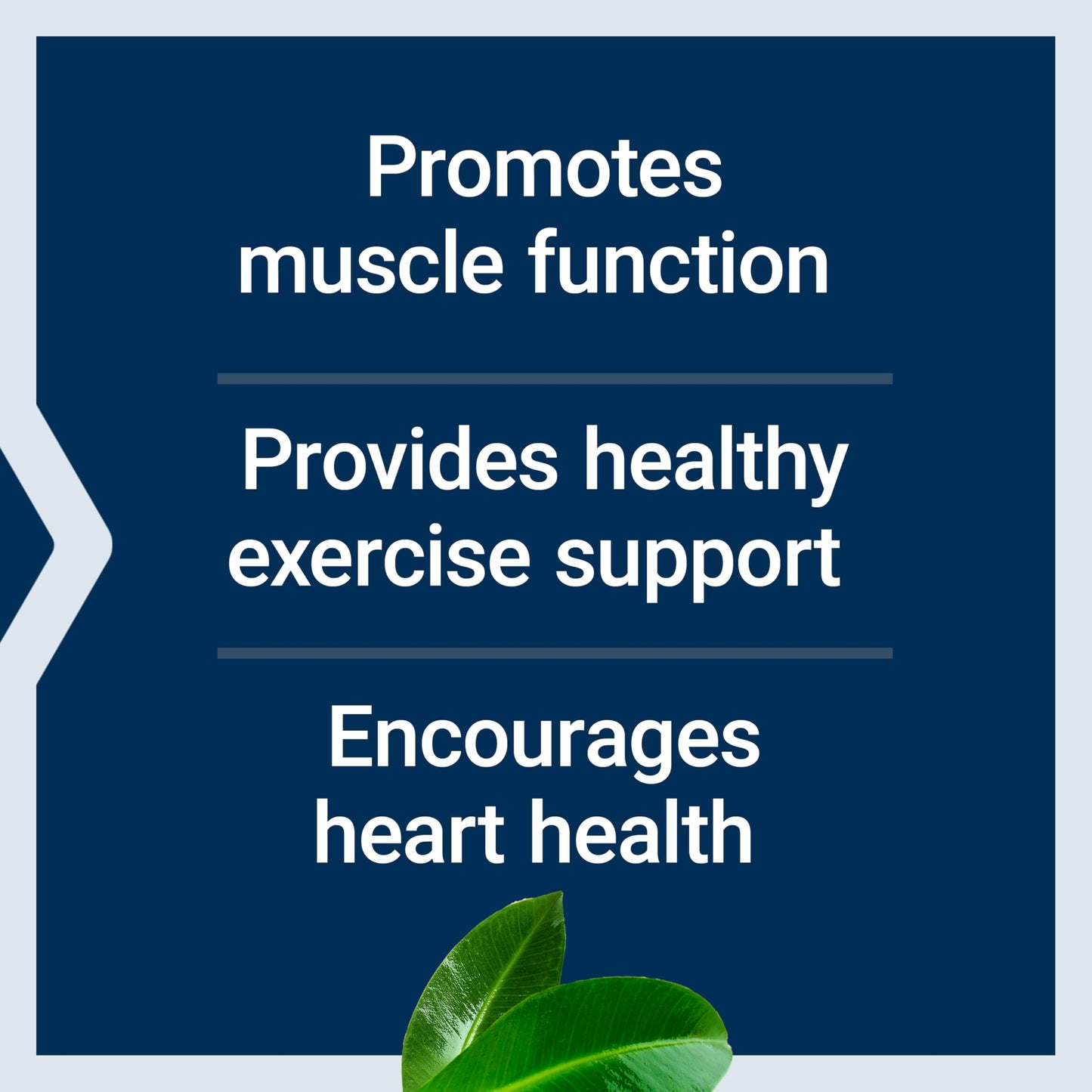 Life Extension Super Carnosine, Heart Health, 60 Capsules