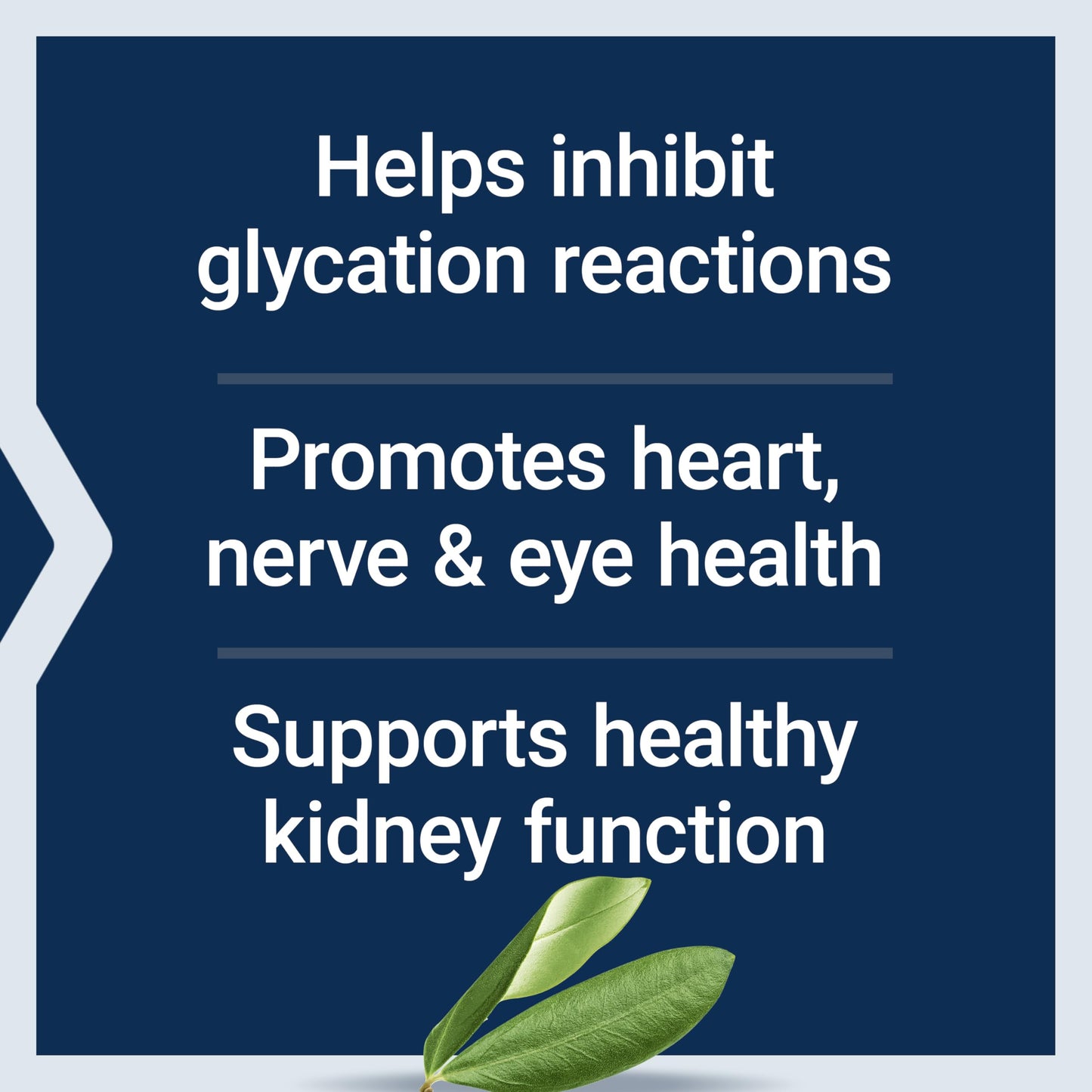Life Extension Vitamin B6, 100 mg, high Potency, Cardiovascular Health, neurological Health, Eye Health, Healthy Kidney Function, Gluten-Free, Non-GMO, Vegetarian, 90 Capsules