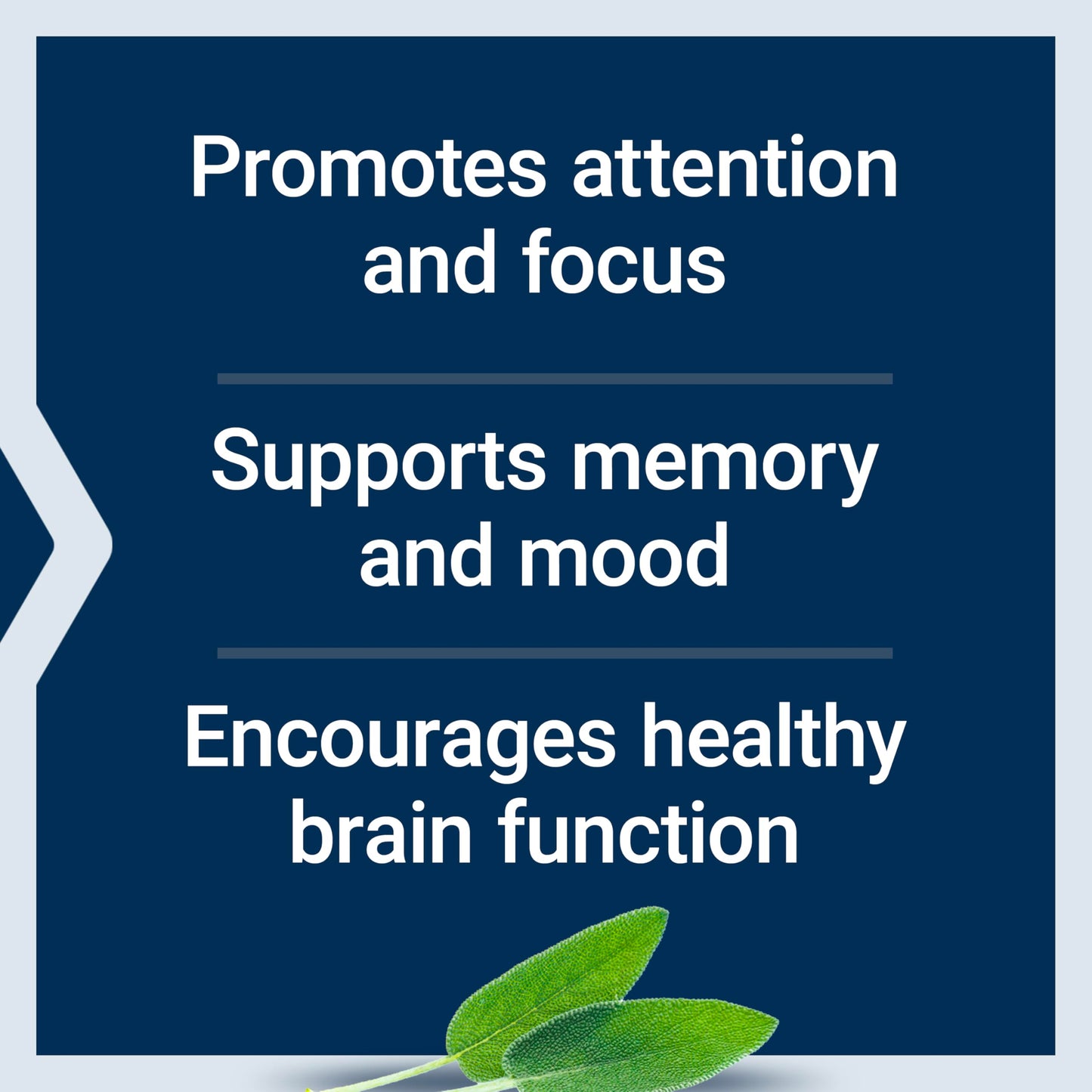Life Extension Cognitex® Elite Pregnenolone, sage, Blueberry, ashwagandha, phosphatidylserine, Advanced Formula, Attention, Focus, Memory, Gluten-Free, Non-GMO, Vegetarian, 60 Tablets