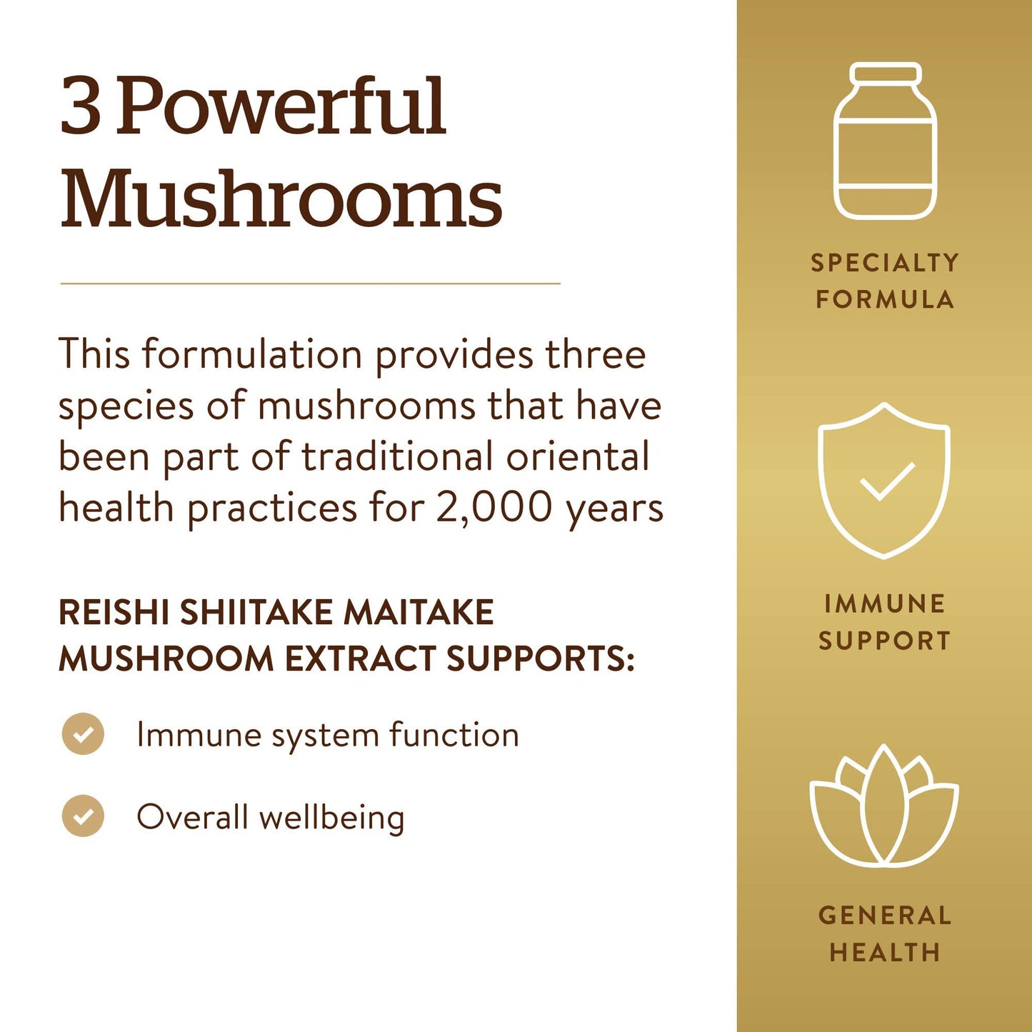 Solgar Multi-Mushroom Complex, 50 Vegetable Capsules - Non-GMO, Vegan