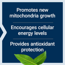 Life Extension PQQ, pyrroloquinoline Quinone, 20 mg, Promotes The Growth of New Mitochondria, Gluten-Free, Non-GMO, Vegetarian, 1 Daily, 30 Capsules