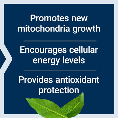 Life Extension PQQ, pyrroloquinoline Quinone, 20 mg, Promotes The Growth of New Mitochondria, Gluten-Free, Non-GMO, Vegetarian, 1 Daily, 30 Capsules