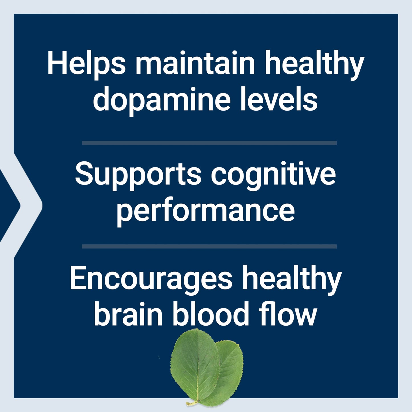 Life Extension Dopa-Mind, 60 Tablets
