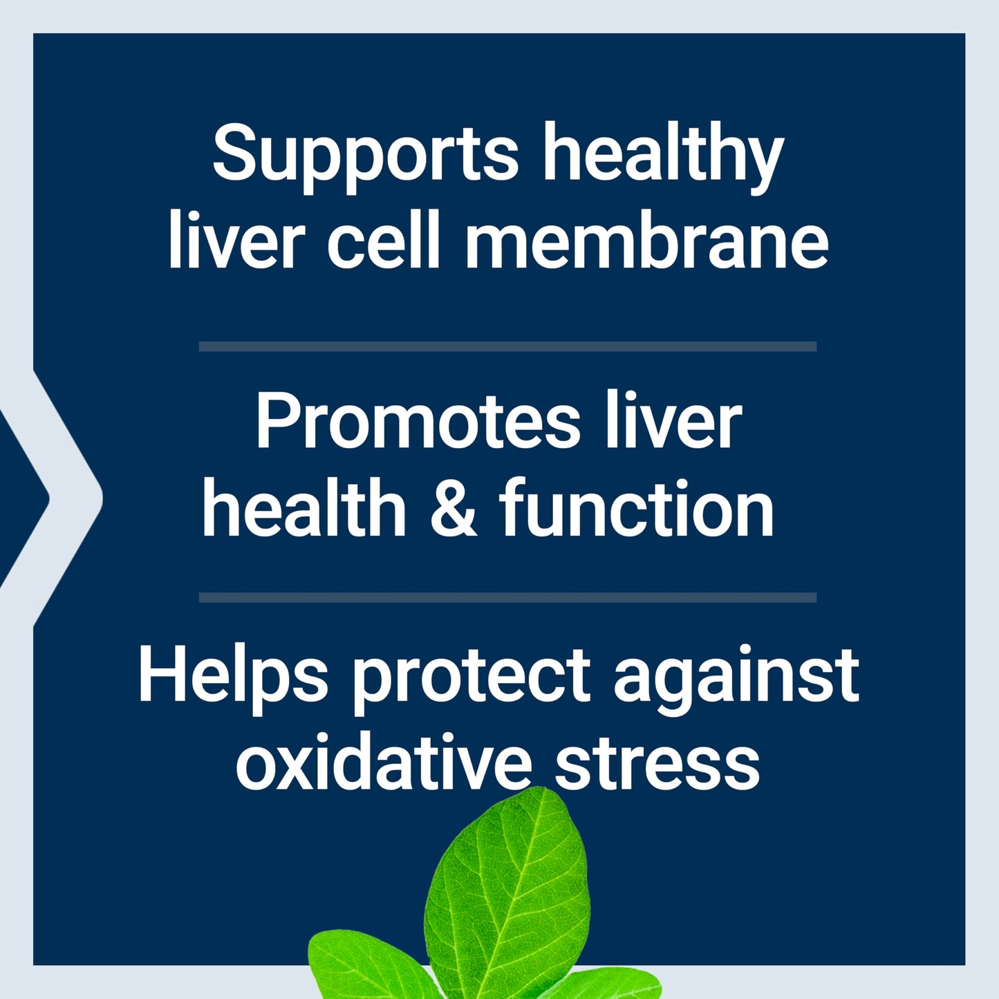 Life Extension HepatoPro, 900 mg, 60 Softgels