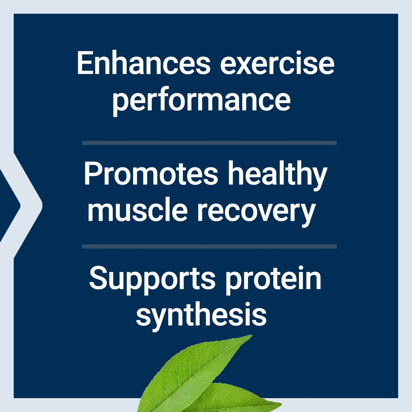 Life Extension Branched Chain Amino Acids (BCAAs), leucine, isoleucine, valine, Promotes Muscle Recovery After Exercise, Gluten-Free, Non-GMO, 90 Capsules