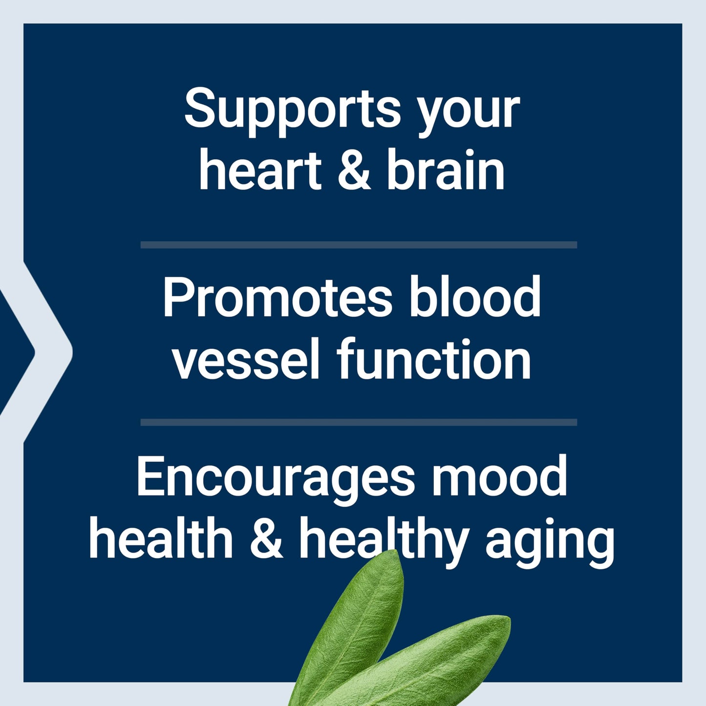 Life Extension Super Omega-3 EPA/DHA Fish Oil, 60 Softgels