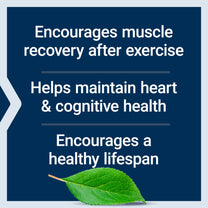 Life Extension Taurine, Pure Taurine Amino Acid Supplement, Heart, Liver and Brain Health, Longevity, Muscle and Exercise, 1000 mg dose, Non-GMO, Gluten-Free - Two Pack - 90 Vegetarian Capsules x 2