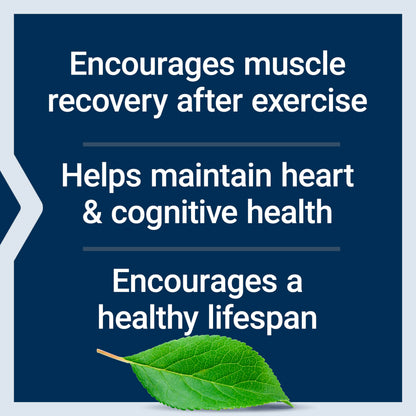 Life Extension Taurine, Pure Taurine Amino Acid Supplement, Heart, Liver and Brain Health, Longevity, Muscle and Exercise, 1000 mg dose, Non-GMO, Gluten-Free - Two Pack - 90 Vegetarian Capsules x 2