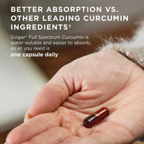Solgar Full Spectrum Curcumin - 60 LiCaps - Superior Absorption - Brain, Joint & Immune Health - Non-GMO, Vegan, Gluten Free, Dairy Free - 60 Servings