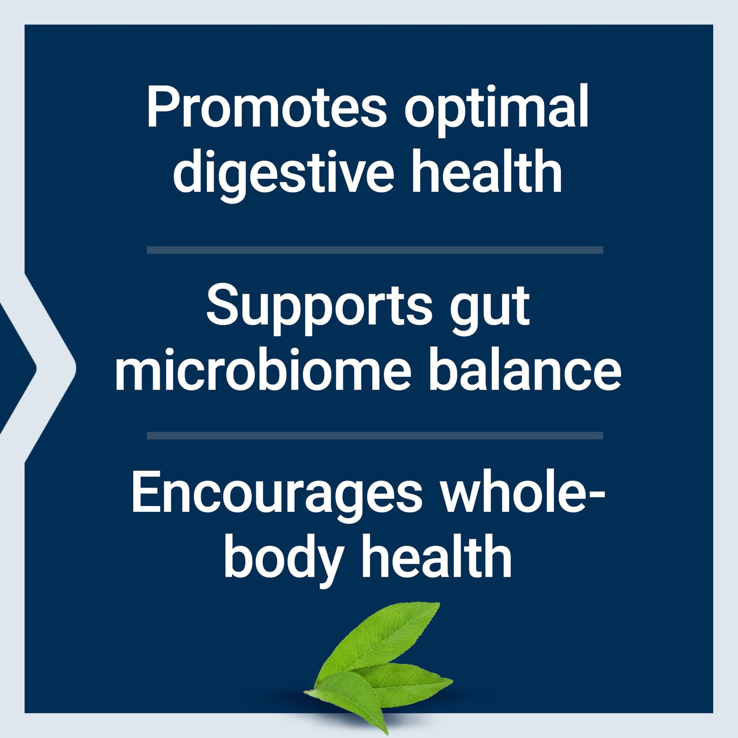 Life Extension FLORASSIST® Probiotic Balance, Gut Health, Immune Support, Whole-Body Health, 7 strains, 15 Billion CFUs, Non-GMO, Gluten-Free, Vegetarian, 30 Capsules