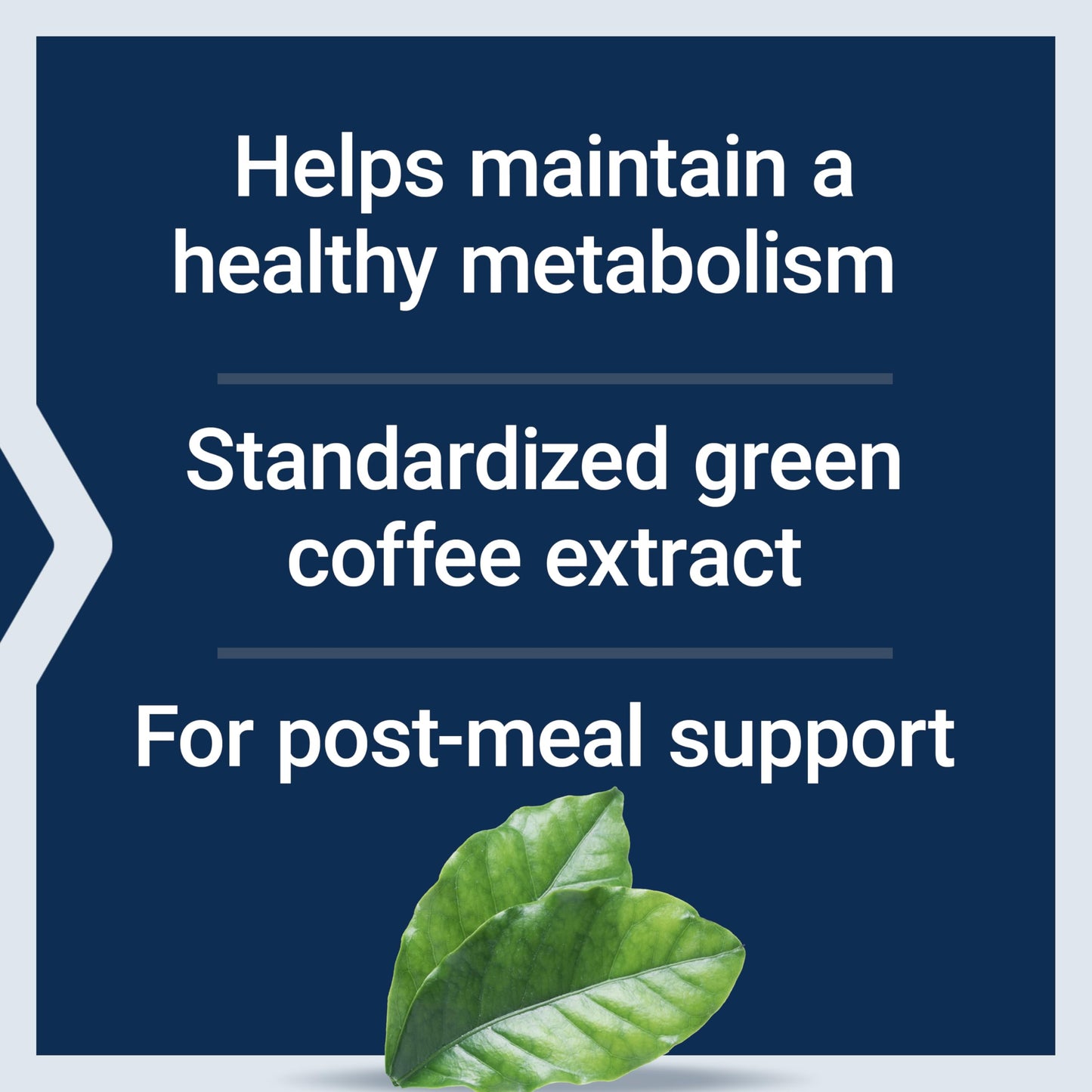 Life Extension CoffeeGenic® Green Coffee Extract, 400 mg, standardized for 50% chlorogenic Acid, After-Meal Metabolism Support, Gluten Free, Non-GMO, Vegetarian, 90 Capsules