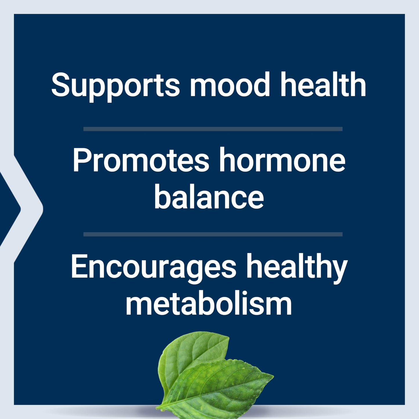 Life Extension Inositol Caps – 1000 mg, Myo-Inositol – Mood Health, Well-Being, Healthy Metabolism, Hormone Balance – Gluten-Free, Non-GMO, Vegetarian – 360 Capsules