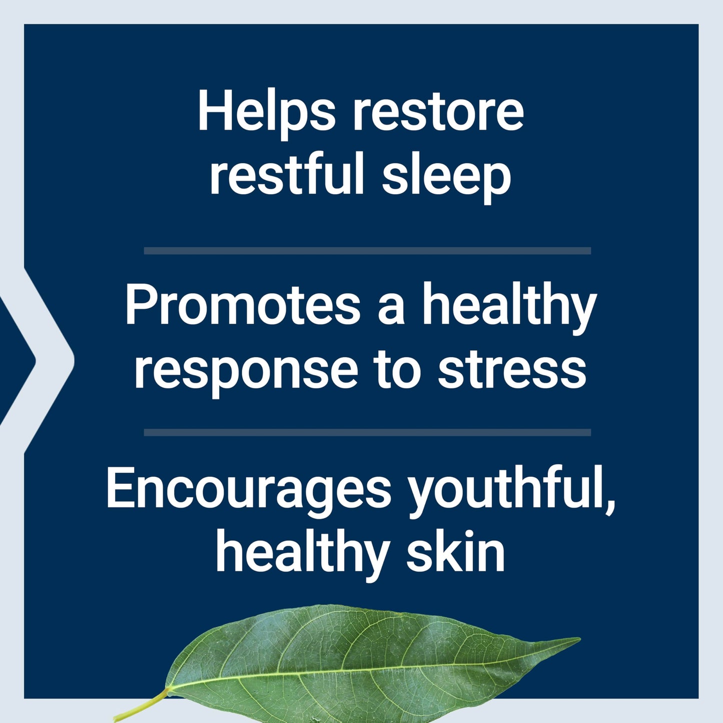 Life Extension Enhanced Sleep Without Melatonin, ashwagandha, amla, Casein Milk peptides, melatonin-Free Supplement for Sleep & Stress Support, Gluten-Free, Non-GMO, Vegetarian, 30 Capsules