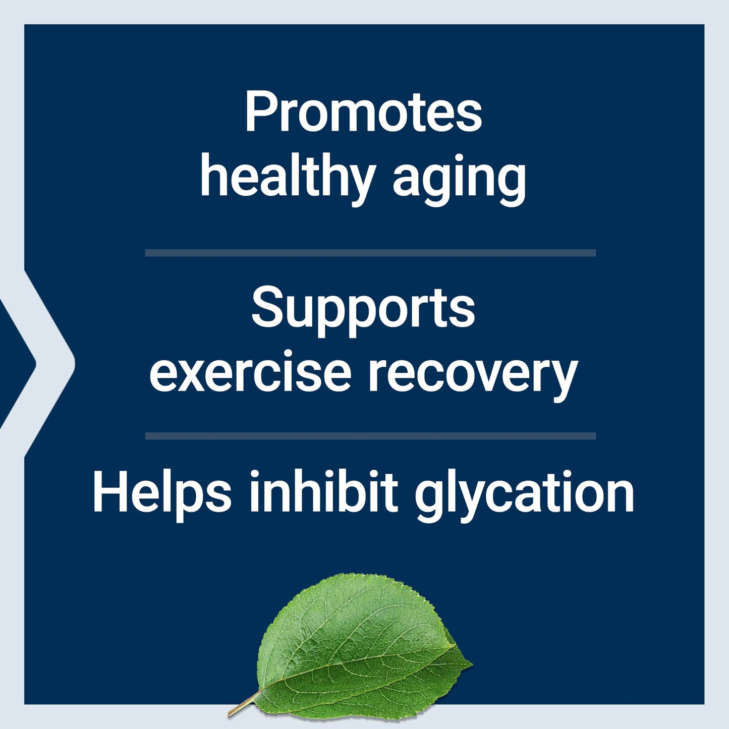 Life Extension Carnosine, 60 Capsules