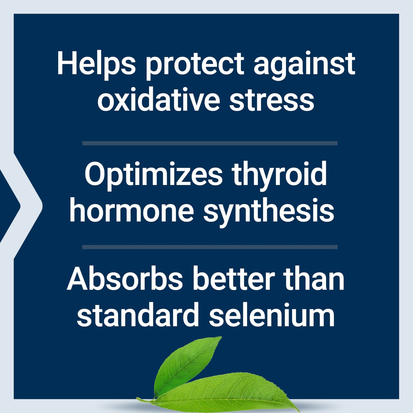 Life Extension Se-Methyl L-Selenocysteine, Advanced Form of Selenium, antioxidant Defense, Cellular Health, Healthy Aging, Vegetarian, Gluten-Free, Non-GMO, 90 Capsules