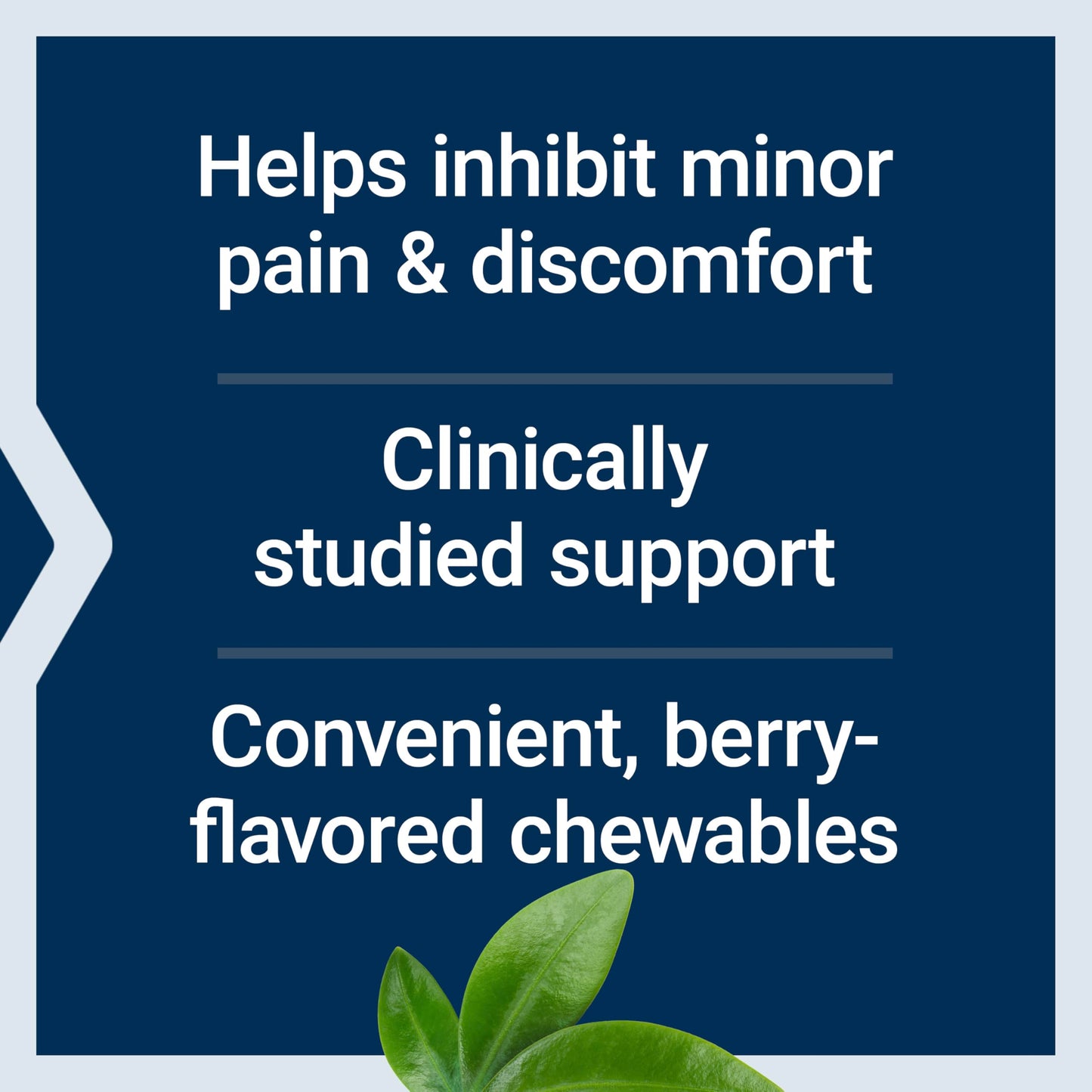 Life Extension Discomfort Relief (Berry Flavor), 60 Chewable Tablets