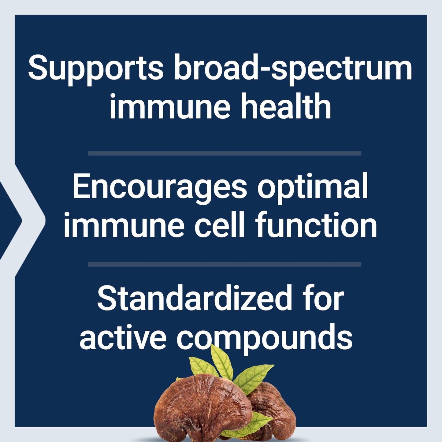 Life Extension Reishi Extract Mushroom Complex, 60 Capsules