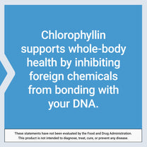 Life Extension Chlorophyllin, antioxidant & DNA Health Support, Gluten-Free, Non-GMO, Vegetarian, 100 Vegetarian Capsules