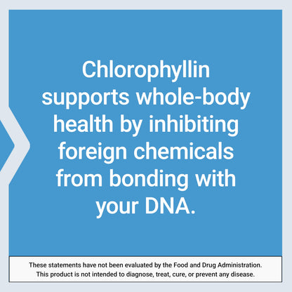 Life Extension Chlorophyllin, antioxidant & DNA Health Support, Gluten-Free, Non-GMO, Vegetarian, 100 Vegetarian Capsules