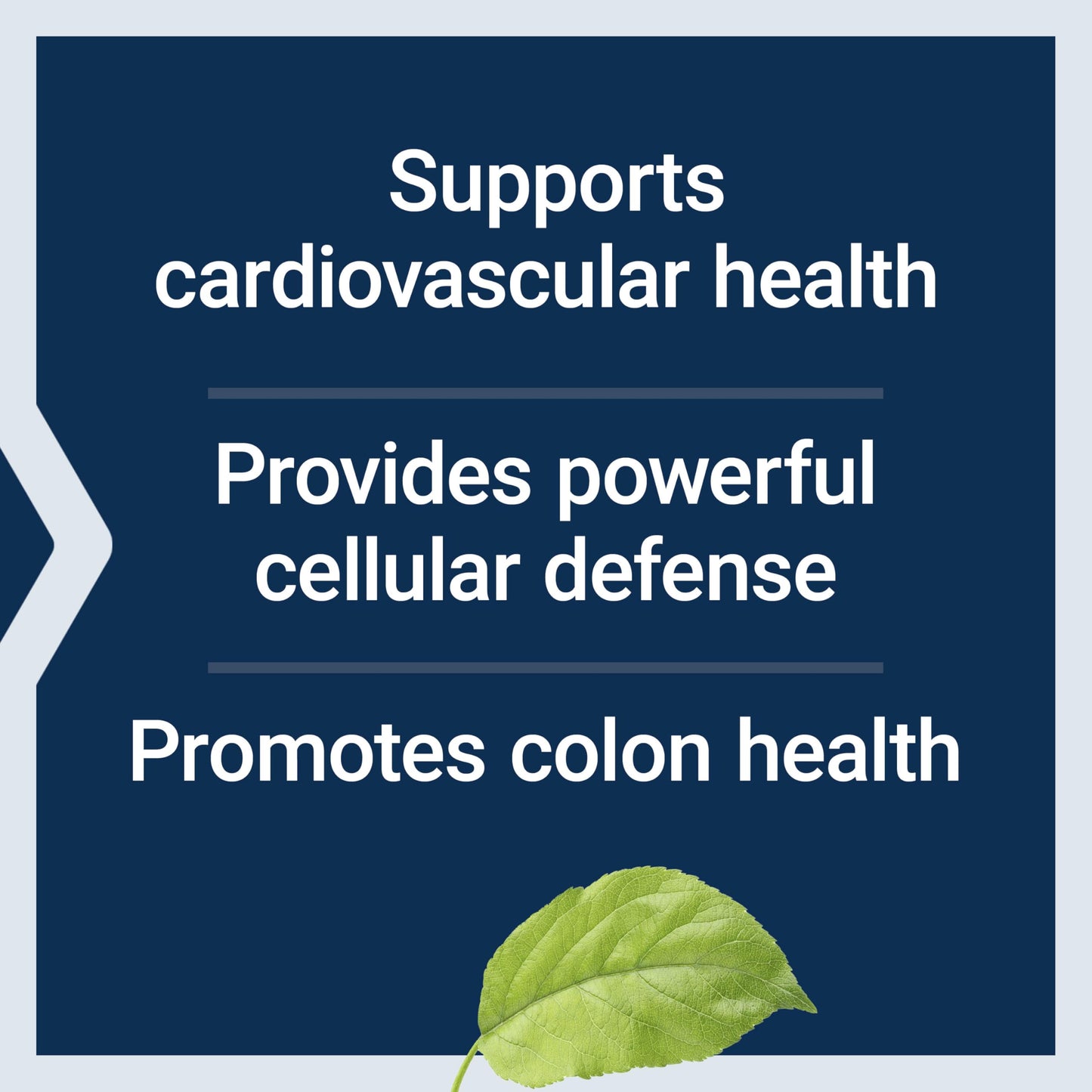 Life Extension AppleWise, Apple polyphenol Extract for Heart, Cellular and Colon Health, Gluten Free, Non-GMO, Vegetarian, 30 Capsules