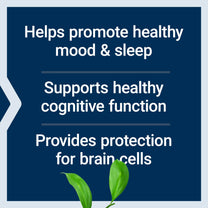 Life Extension D, L-Phenylalanine Capsules, 500 mg – Supports Mood Health, Promotes Neurotransmitter Health – Gluten-Free, Non-GMO, Vegetarian – 100 Capsules