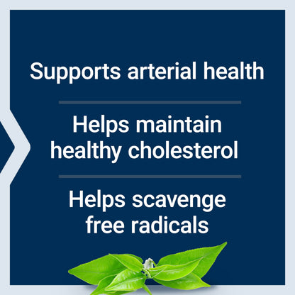 Life Extension Theaflavin Standardized Extract – Tea Leaf Flavonoids, Arterial Health Support, Helps Maintain Already-Heathy Cholesterol – Gluten-Free, Non-GMO, Vegetarian – 30 Capsules