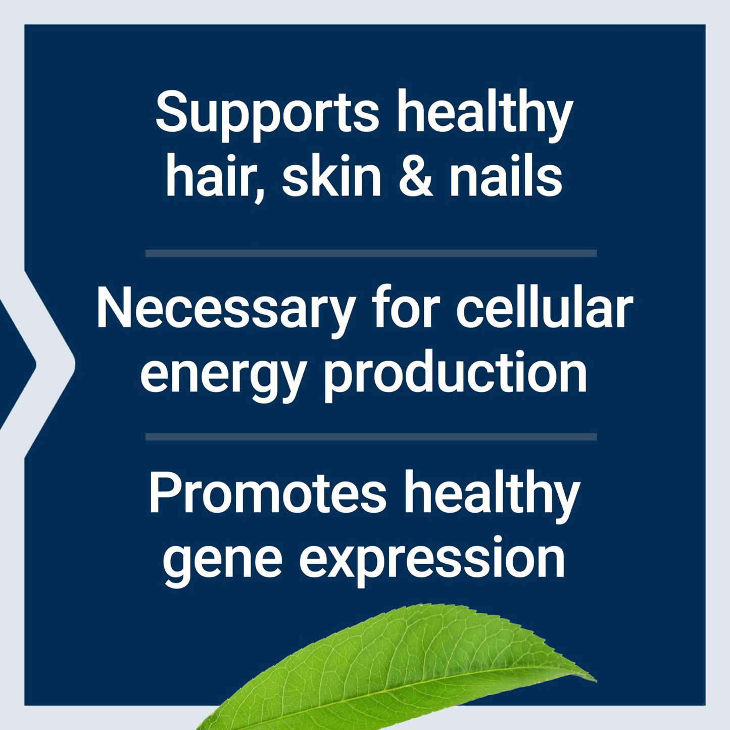 Life Extension Biotin 600 mcg Vitamin B7 Support Supplement for Beautiful Hair, Nails & Beyond – Gluten-Free, Non-GMO - 100 Capsules