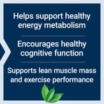 Life Extension Creatine Acetyl-L-Carnitine Energy Plus, Energy Support Supplement, creatine monohydrate, Acetyl-L-carnitine, Gluten-Free, Non-GMO, Vegetarian, 30 Servings