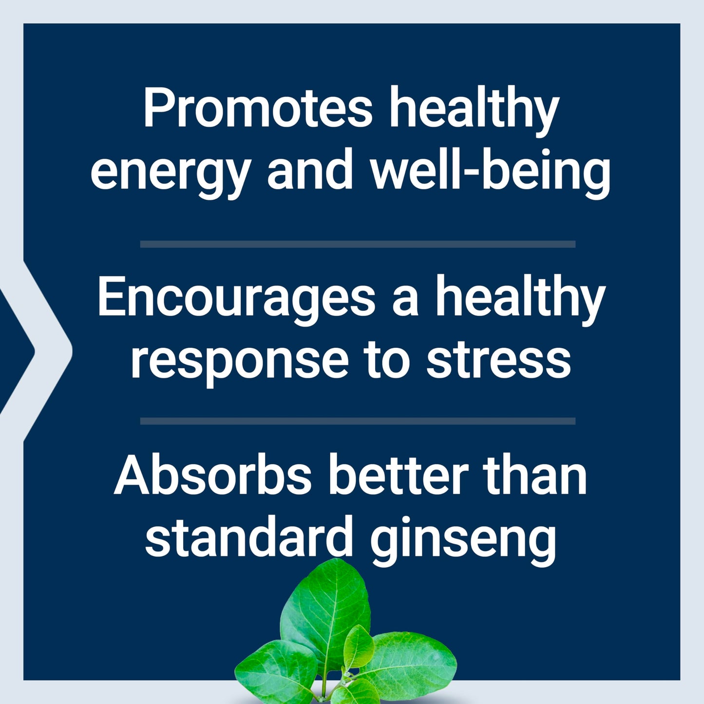 Life Extension Ginseng Energy Boost, Energy Support, Healthy Stress Management, Gluten-Free, Non-GMO, Vegetarian, 30 Capsules