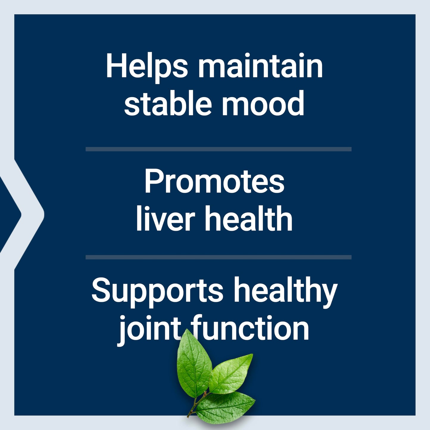 Life Extension Same, S-Adenosyl-Methionine, 400 mg, Mood and Liver Health and Joint Support Supplement, Non-GMO, Vegetarian, Gluten Free, 60 enteric-Coated Tablets