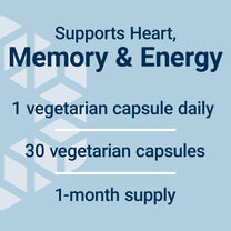 Life Extension L-Carnitine – 500 mg, Energy Supplement, Memory Supplement – Free Form Amino Acid, Nitric Oxide Support, Healthy Blood Pressure – Gluten-Free, Non-GMO, Vegetarian – 30 Capsules