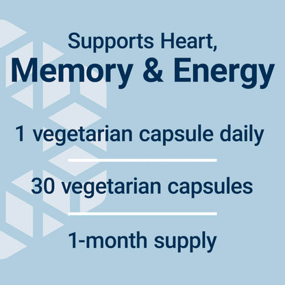 Life Extension L-Carnitine – 500 mg, Energy Supplement, Memory Supplement – Free Form Amino Acid, Nitric Oxide Support, Healthy Blood Pressure – Gluten-Free, Non-GMO, Vegetarian – 30 Capsules